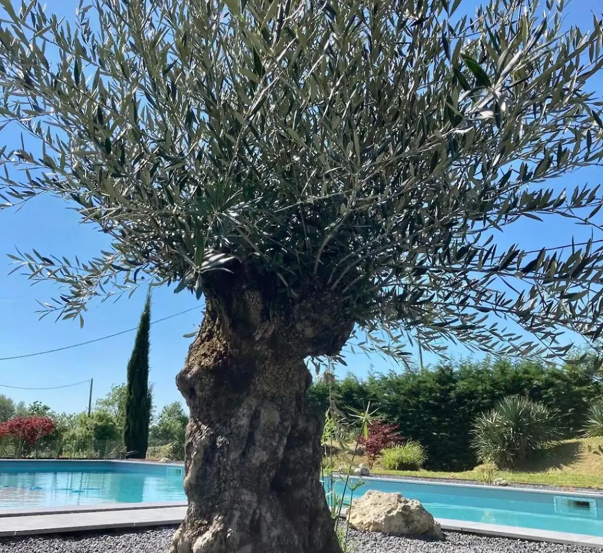 Villa Avec Piscine Castillon-Saves